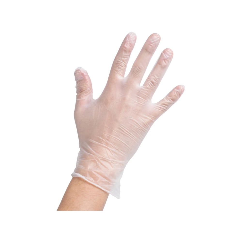 Gloves Vinyl Disposable White Powder Free - Large 